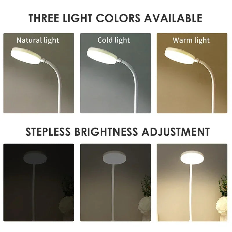 HOMEFISH Desk Lamp