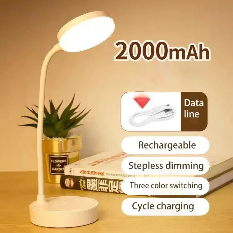 HOMEFISH Desk Lamp